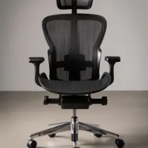 Ergonomic Office Chair